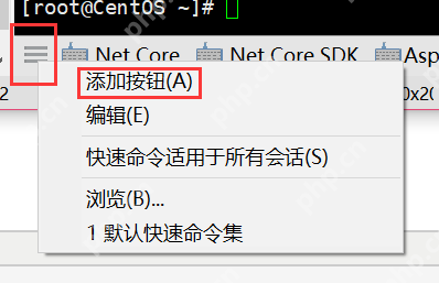 [netcore]CentOS安裝使用.netcore極簡教程（免費提供學習服務器） 		新生命團隊netcore服務器免費開放計劃