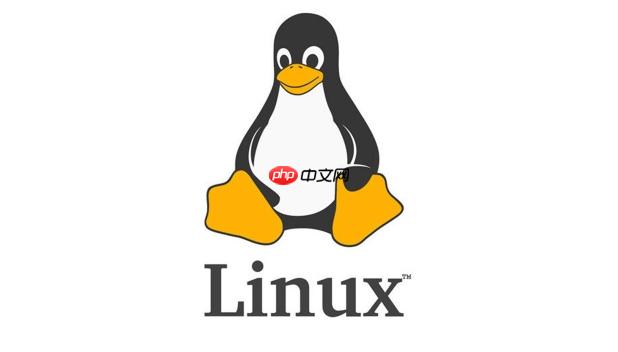 如何在Linux中解壓tar.gz文件 簡單幾步完成壓縮包解壓操作