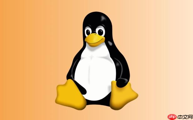 如何掛載Linux外部設備 mount命令與/etc/fstab配置詳解