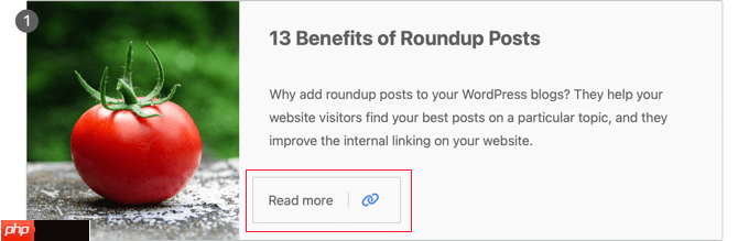 如何在 WordPress 中創建綜述文章（簡單方法）