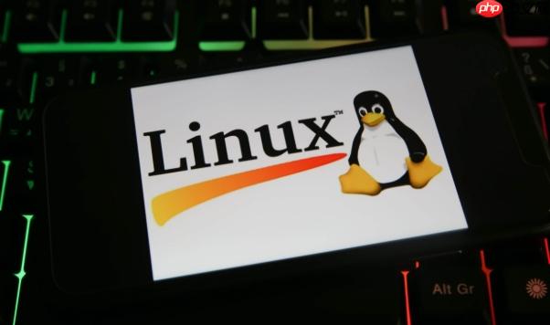 Linux怎么查看用戶登錄歷史？ last命令查看用戶登錄記錄的詳細(xì)方法-小浪學(xué)習(xí)網(wǎng)