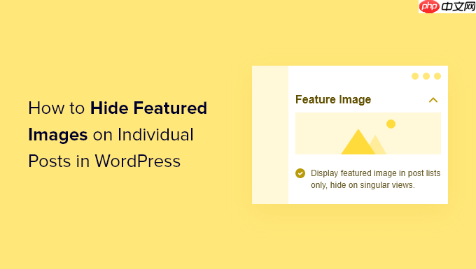 如何在 WordPress 中的單個帖子上隱藏特色圖像
