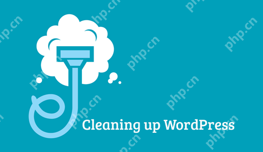如何清理 WordPress 數據庫以提高性能-小浪學習網