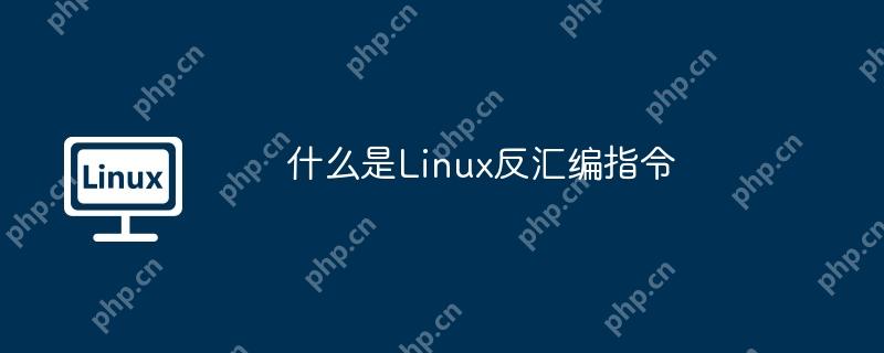 什么是Linux反匯編指令-小浪學習網
