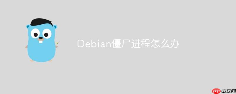 Debian僵尸進程怎么辦-小浪學習網