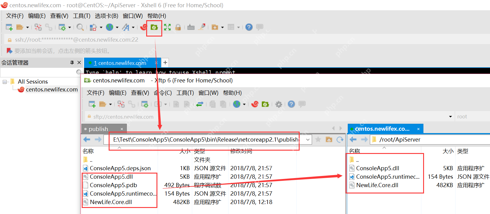 [netcore]CentOS安裝使用.netcore極簡教程（免費提供學習服務器） 		新生命團隊netcore服務器免費開放計劃