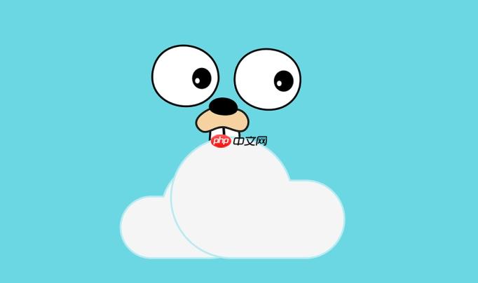Golang中interface類型斷言失敗怎么處理