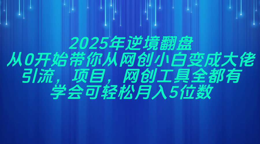（14473期）2025年逆境翻盤，從0開始帶你從網創小白變成大佬，引流，項目，網創工…-小浪學習網