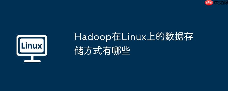 Hadoop在Linux上的數據存儲方式有哪些-小浪學習網