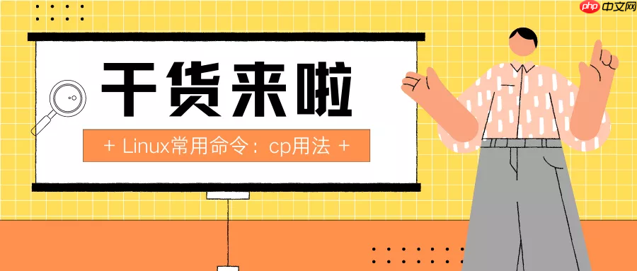 日更第2天：Linux常用命令之cp用法-小浪學習網