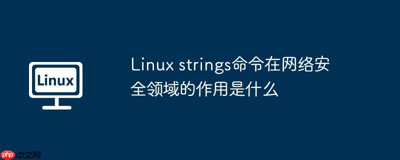 Linux strings命令在網絡安全領域的作用是什么-小浪學習網