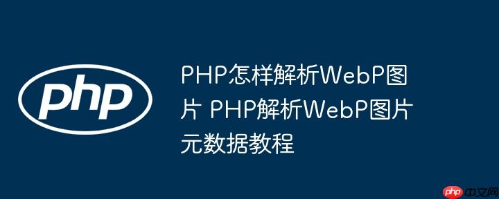PHP怎樣解析WebP圖片 PHP解析WebP圖片元數據教程