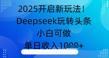 2025開啟新玩法！Deepseek玩轉頭條，小白可做，單日收入幾張-小浪學習網